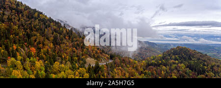 Antenne drone Ansicht einer Neblig Foggy Mountain Road, wie es die Winde durch die getrübte Herbst Wald in den alpinen Jura. Stockfoto