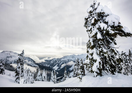 Winterliche Landschaft im Norden Kaskaden. Artist Point, Mount Baker Snoqualmie National Forest, Washington State, USA Stockfoto