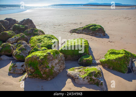 Felsen von Moos auf der Ocean Shore abgedeckt Stockfoto