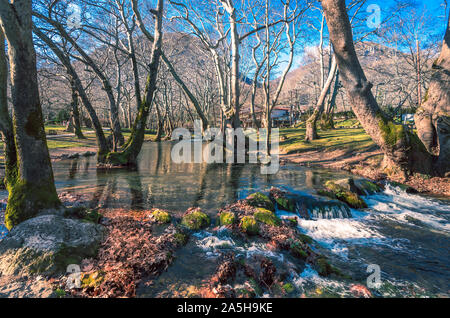 Dickicht von Agios Nikolaos in Naoussa Stockfoto