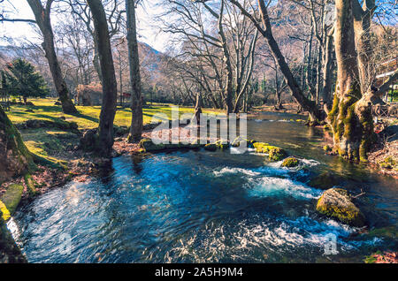 Dickicht von Agios Nikolaos in Naoussa Stockfoto