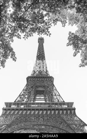 Schwarze und weiße Low Angle Shot der Eiffelturm Stockfoto