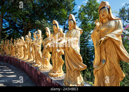 Statuen von Arhats (buddhistisches Äquivalent von Heiligen) im Zehntausend Buddhas Kloster (man Fat Sze). Sha Tin, New Territories, Hongkong. Stockfoto