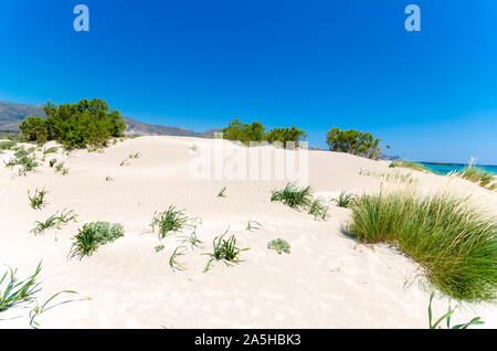 Elafonissi Strand, die erstaunliche Pink Beach auf Kreta, die mehrfach als einer der beeindruckendsten Strände nicht nur in Europa, sondern auch in gewählt worden ist Stockfoto