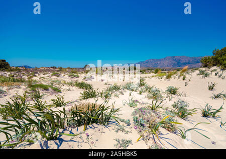 Elafonissi Strand, die erstaunliche Pink Beach auf Kreta, die mehrfach als einer der beeindruckendsten Strände nicht nur in Europa, sondern auch in gewählt worden ist Stockfoto