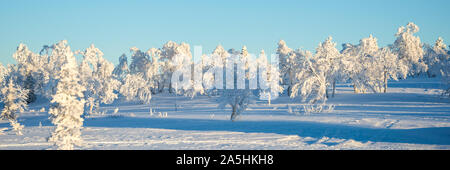 Verschneite Landschaft, gefrorene Bäume im Winter in Saariselka, Panorama winter Hintergrund, Lappland, Finnland Stockfoto