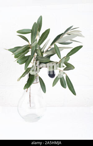 Grüne Olivenzweige in Glas Vase auf einem weißen Stein Wand Hintergrund. Wand mockup. Minimale Wohnkultur. Einfache und moderne Einrichtung Stockfoto
