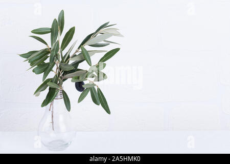 Grüne Olivenzweige in Glas Vase auf einem weißen Stein Wand Hintergrund. Wand mockup. Minimale Wohnkultur. Einfache und moderne Einrichtung Stockfoto
