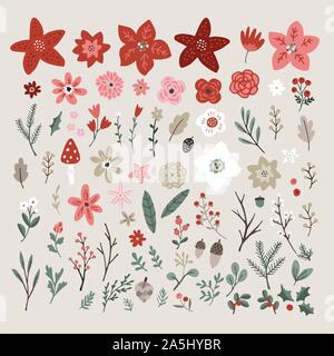 Weihnachten von Pflanzen. Blumen, roten Weihnachtsstern, Eukalyptus, Fichte, Tanne, Zweige, Blätter und Beeren auf weißem Hintergrund. Hand gezeichnet Stock Vektor