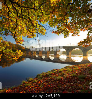 Dawn auf dem Fluss Tyne am Tyne Grün, Hexham, Northumberland, Großbritannien Stockfoto