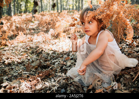 Wenig kaukasische Baby Mädchen im Wald hocken unter Farne spielt mit Pflanzen Stockfoto