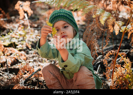 Wenig kaukasische Baby Mädchen im Wald hocken unter Farne spielt mit Pflanzen Stockfoto