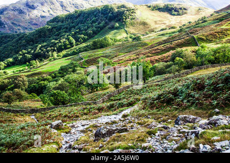 Blick auf Borrowdale im Nationalpark Lake District, Cumbria. Stockfoto