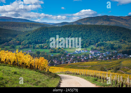 Herbstfarben in den Weinbergen zwischen Westhalten und Soultz-les-Bains im Elsass in Frankreich Stockfoto