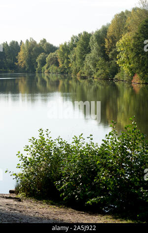 Der See bei Pfeil Valley Country Park, Redditch, Worcestershire, England, Großbritannien Stockfoto