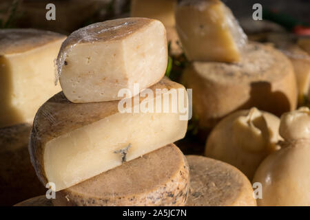 Traditionelle Käse mit Würmern in Sardenga gemacht. Verboten und illegal Käse mit Fliegen und Würmer im Inneren. Stockfoto