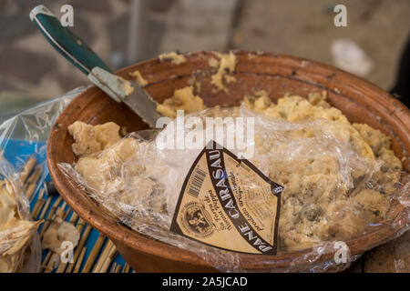 Traditionelle Käse mit Würmern in Sardenga gemacht. Verboten und illegal Käse mit Fliegen und Würmer im Inneren. Stockfoto