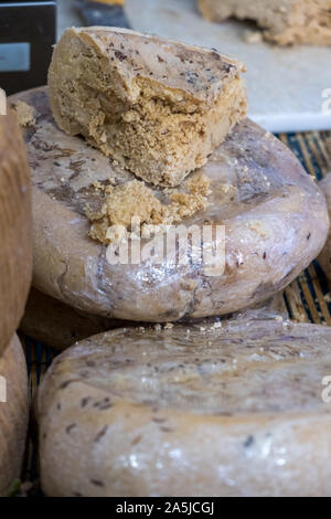 Traditionelle Käse mit Würmern in Sardenga gemacht. Verboten und illegal Käse mit Fliegen und Würmer im Inneren. Stockfoto