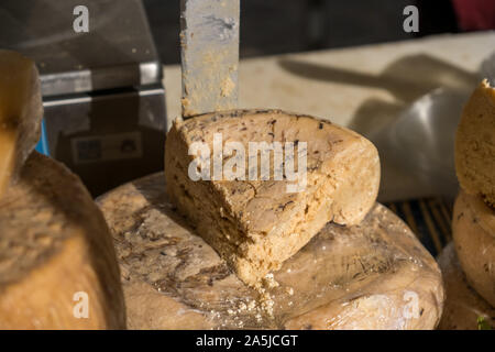 Traditionelle Käse mit Würmern in Sardenga gemacht. Verboten und illegal Käse mit Fliegen und Würmer im Inneren. Stockfoto