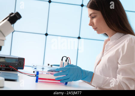 Laden von Samples und läuft einem Agarosegel für Elektrophorese Gelelektrophorese ist der Standard lab Verfahren zur Trennung von DNA Stockfoto