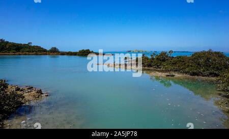 Rangitoto Island (Scenic Reserve) in der Nähe von Auckland, Neuseeland Stockfoto