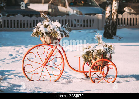 Dekorative Vintage Modell altes Fahrrad Korb von Pine verschneiten Äste im Winter sonniger Tag ausgestattet. Stockfoto