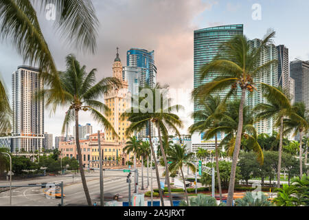Miami, Florida, USA Stadtbild am Morgen mit Palmen. Stockfoto
