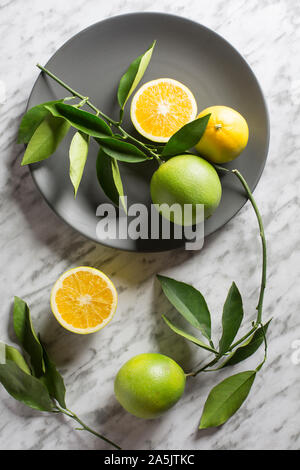 Teller mit wilden Orangen auf grauem Marmor Hintergrund. Blick von oben. Stockfoto