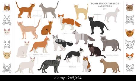 Katze Rassen und Mischlinge Sammlung auf Weiß isoliert. Flat Style eingestellt. Andere Farbe und Herkunftsland. Vector Illustration Stock Vektor