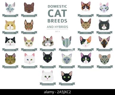 Katze Rassen und Mischlinge Porträts Sammlung auf Weiß isoliert. Die flachen Farbe cat Head style Set. Vector Illustration Stock Vektor