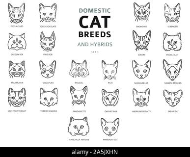 Katze Rassen und Mischlinge lineare Porträts Sammlung auf Weiß isoliert. Simple Line cat Head style Set. Vector Illustration Stock Vektor