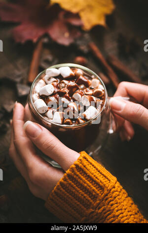 Heiße Schokolade Tasse In weibliche Hände. Herbst Winter Comfort Food Konzept. Vertikale Komposition. Wohlig warmes Bild von Feiertagen Stockfoto