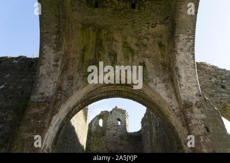 Blick auf die Ruinen des ehemaligen Dunbrody Abtei in der Grafschaft Wexford in Irland. Stockfoto