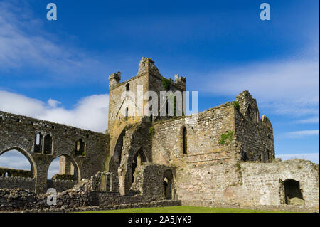 Blick auf die Ruinen des ehemaligen Dunbrody Abtei in der Grafschaft Wexford in Irland. Stockfoto