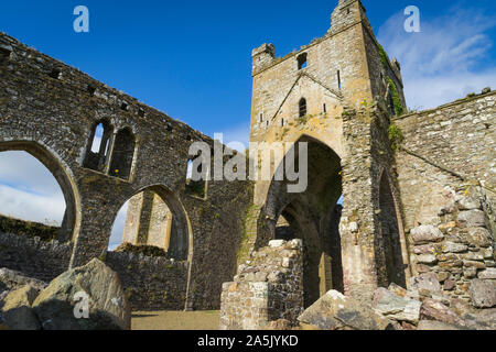 Blick auf die Ruinen des ehemaligen Dunbrody Abtei in der Grafschaft Wexford in Irland. Stockfoto