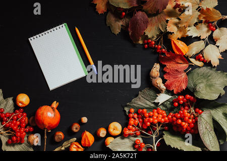 Herbst gelbe und rote Blätter und Früchte auf schwarzem Hintergrund Stockfoto