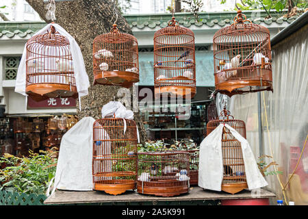 Singvögel in traditionellen Bambus Käfige an der Yuen Po Street Bird Garden, Mong Kok, Kowloon, Hong Kong. Stockfoto