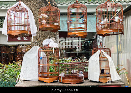 Singvögel in traditionellen Bambus Käfige an der Yuen Po Street Bird Garden, Mong Kok, Kowloon, Hong Kong. Stockfoto