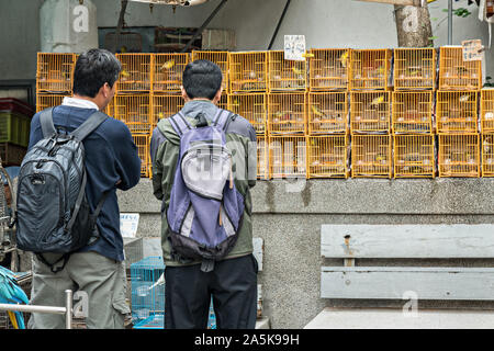 Chinesische Männer shop für Singvögel in traditionellen Bambus Käfige auf Verkauf in der Yuen Po Street Bird Garden, Mong Kok, Kowloon, Hong Kong. Stockfoto