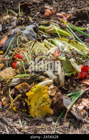 Kompostierung Haufen verrottenden Küche Obst und pflanzliche Reste im Garten, für decomposting. Stockfoto
