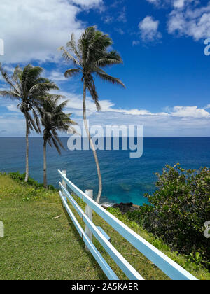 (191021) - apia, Oktober 21, 2019 (Xinhua) - Foto am Okt. 19, 2019 zeigt Küste Landschaft in Samoa. (Xinhua / Guo Lei) Stockfoto