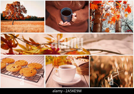 Herbst Collage aus 7 Fotos. Heißen Tee, Herbst Landschaft, Blätter, Cookies. Warm und gemütlich Stockfoto