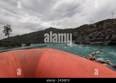 Rafting und Bootsfahrten auf dem Fluss Katun Stockfoto