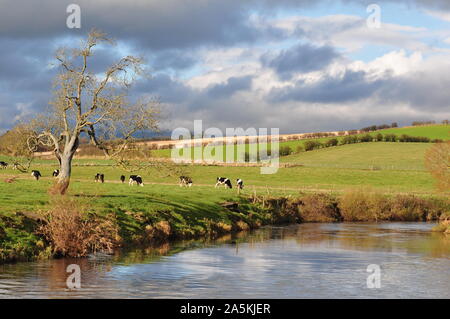 Dunkle Wolken über dem Fluss Eden an der großen Ormside, Cumbria Stockfoto