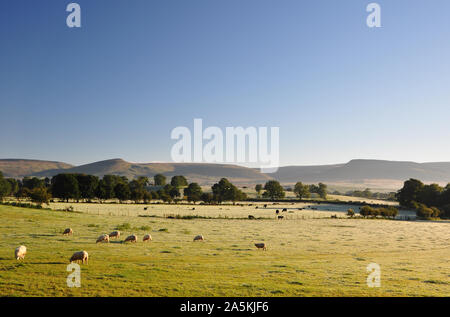 Frosty Blick auf die nördlichen Pennines von der Eden Valley an der großen Ormside, Cumbria im Eden Valley Stockfoto