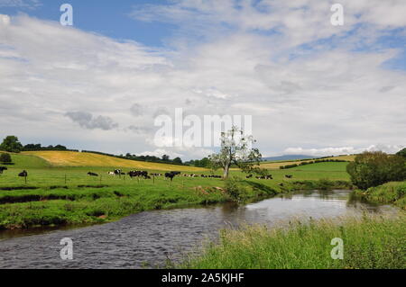 Fluss Eden, tolle Ormside 4, Cumbria Stockfoto