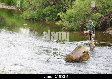 Fisherman Fliegen, Fluss Eden, Ormside, Cumbria Stockfoto