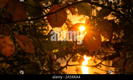 Einen malerischen Blick auf den Sonnenuntergang am Lake Norman in North Carolina. Stockfoto