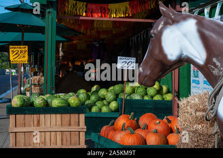 Kürbis seedlees und Wassermelone Verkauf in New York, USA Stockfoto