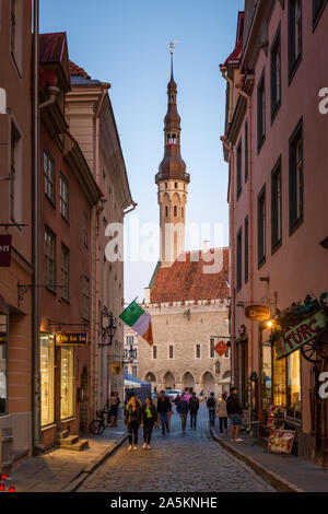 Rathaus, Tallinn, Estland Stockfoto